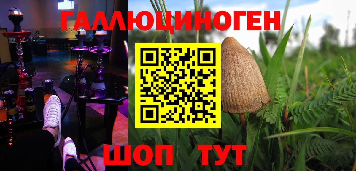 Псилоцибиновые грибы Psilocybe  Вход с VPN  Кимовск 
