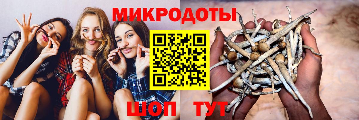 Псилоцибиновые грибы Cubensis Кимовск